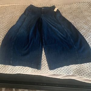 Maeve by Anthropology high rise palazzo jeans